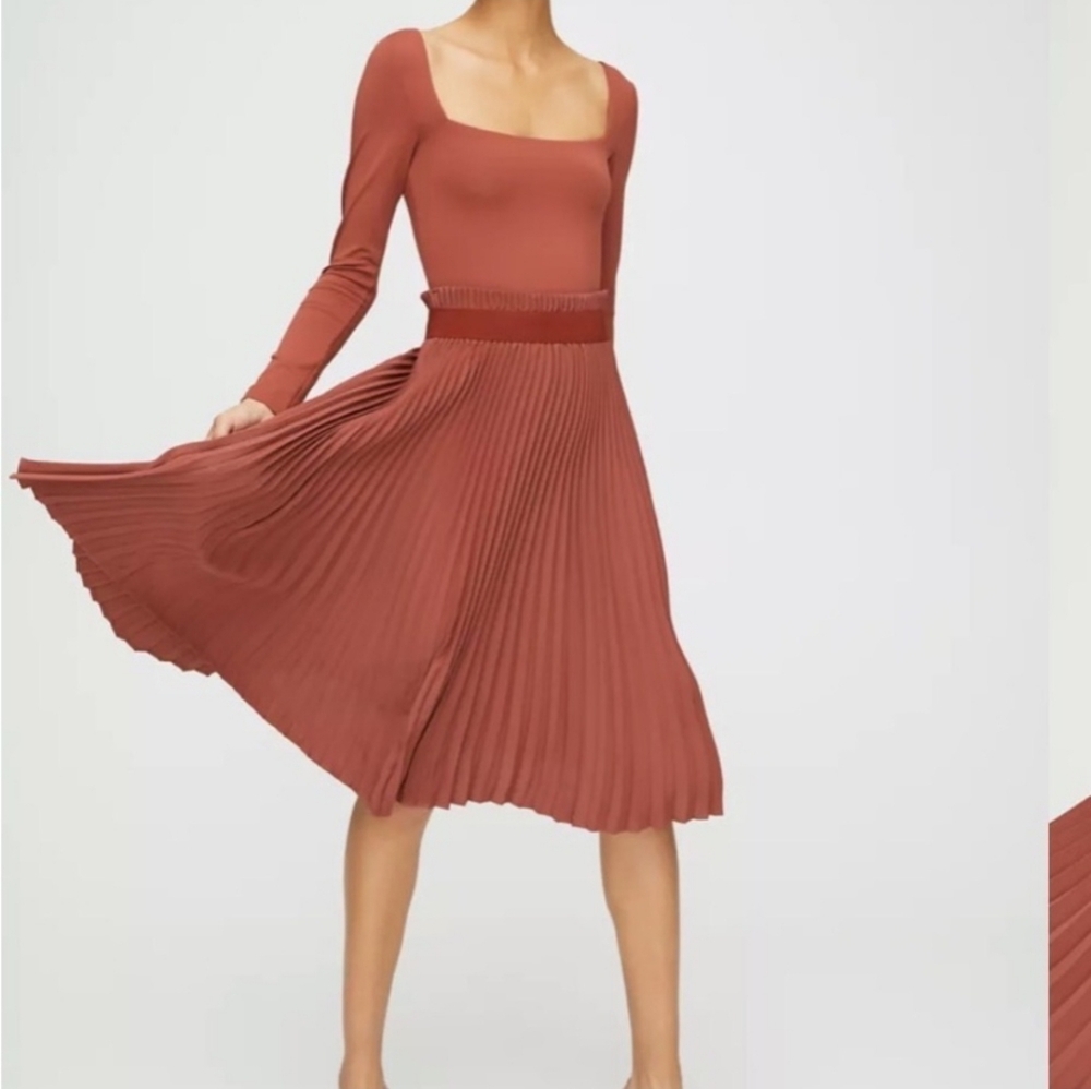 Aritzia Babaton Pleated Skirt